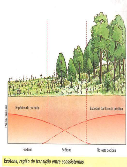 Ecótono Região de transição entre dois ou mais