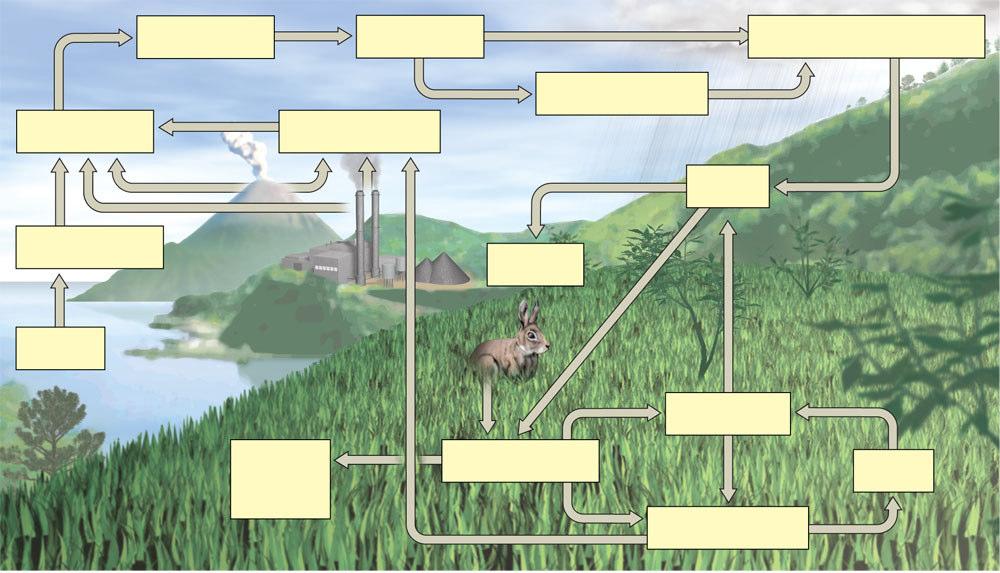 O ciclo do enxofre Trióxido de enxofre Água Ácido sulfídrico Amônia Nevoeiro e precipitação ácida Dióxido de enxofre Oxigênio Sulfeto de hidrogênio Sulfato de