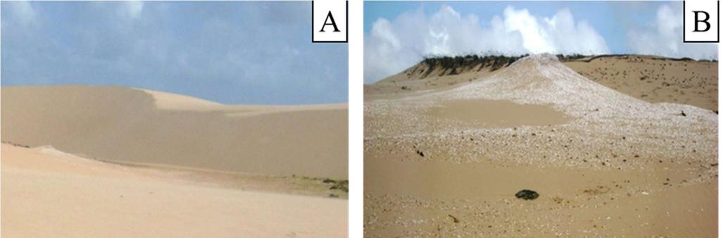encontrados e também da paisagem das dunas naquele momento. E também notamos a degradação desses materiais e que isto se relacionava com as condições naturais do ambiente.