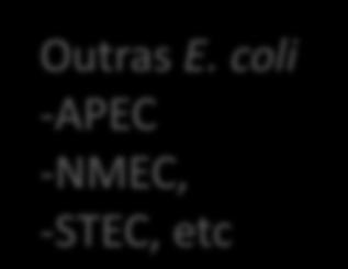 e perda de porções de DNA-cromossômico em linhagens distintas de E. coli, possibilitou surgimento de clones de diferentes patotipos de E.