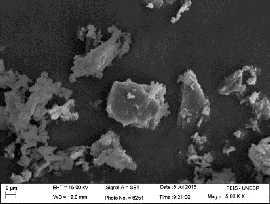 figura 6 mostra os aspectos da matéria prima nacional observada através da microscopia eletrônica de varredura.