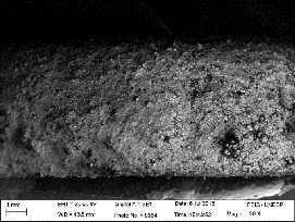 através da microscopia eletrônica de varredura.