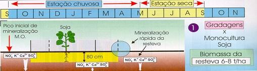 EVOLUÇÃO DOS SISTEMAS DE CULTIVO, DA