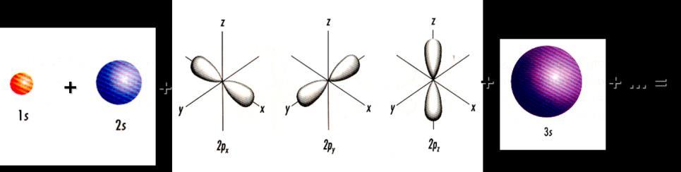 Forma das orbitais O tamanho das