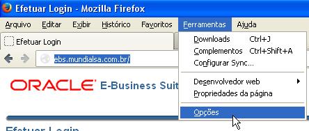 Mozila Firefox 4.17.