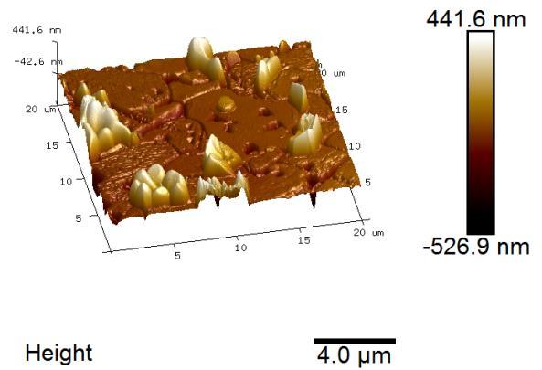 As micrografias obtidas em AFM foram analisadas no programa computacional NanoScope das amostras de SrTiO 3 sintetizadas sinterizadas a