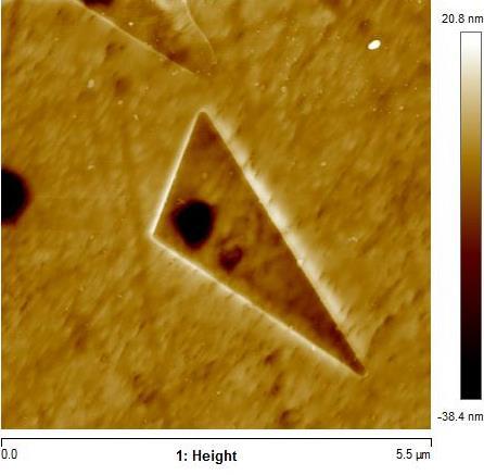 Na Figura 19, pode-se observar que as amostras apresentam grãos poligonais maiores confirmando o que foi observado em MEV.