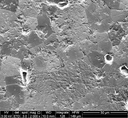 Figura 22: Micrografia obtida em microscópio eletrônico de varredura da amostra de SrTiO 3 comercial