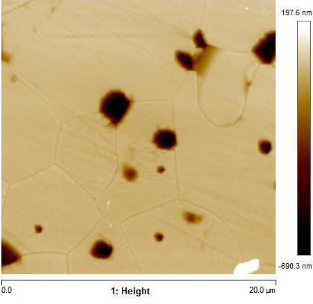 A B Figura 28: Micrografias obtidas em microscópio de força atômica da amostra de SrTiO 3 + 1% mol Ca sinterizada a 1500ºC/6 h. (A) Altura e (B) Mapa de adesão.