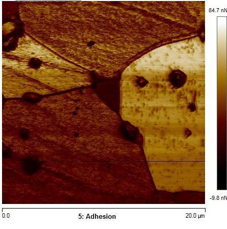 indica que os grãos tem adesão distintas. A Figura 29 mostra imagens de AFM das amostras de SrTiO 3 com 5% mol Ca sinterizadas a 1500ºC/6 horas.