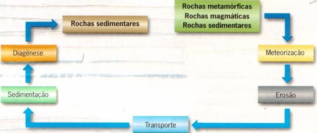 Ciclo