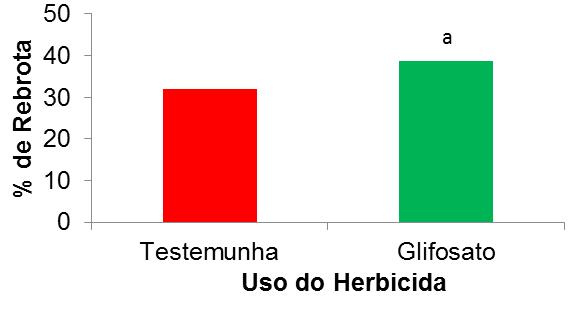 Melhorança (2013) utilizando a dose de 3 litros por hectare de glifosato não encontrou resultados satisfatórios para a destruição das soqueiras, controlando apenas 25% destas aos 45 dias após a