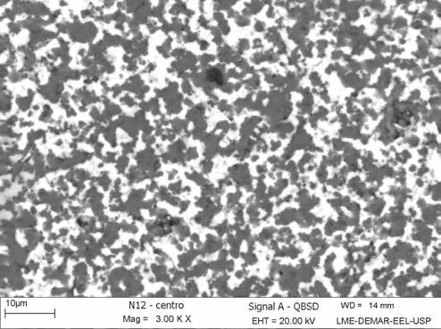 231 G. C. R. Garcia et al. / Cerâmica 54 (2008) 227-232 (a) 2q (grau) (b) 2q (grau) Figura 6: Fotomicrografias, obtidas por MEV, das amostras (a) NY8 e (b) NY12, após infiltração.