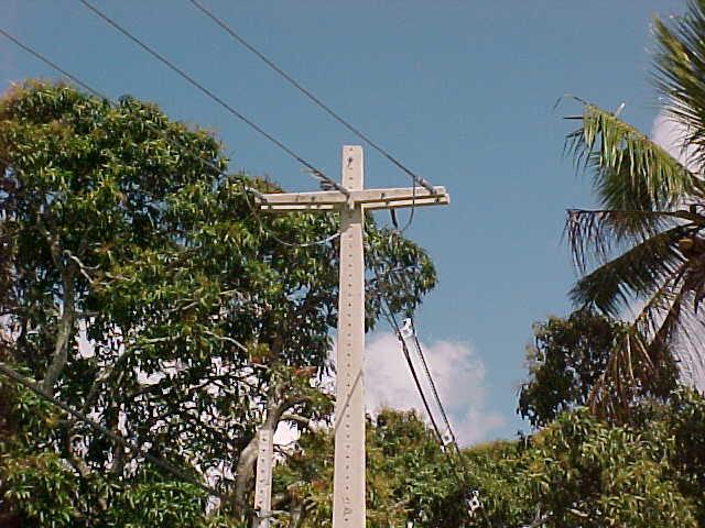 diminuem a necessidade de cortes e podas.