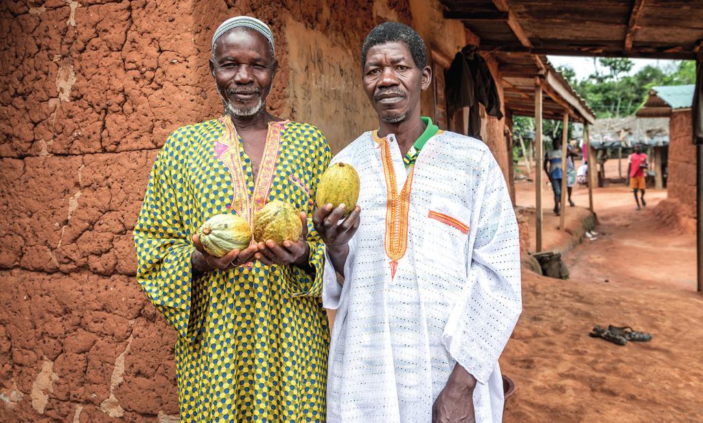 As intervenções originais de WASH da IFRC eram filantrópicas, enquanto o Plano do Cacau da Nestlé pertence às empresas em cada território e é mais orientado para os negócios.