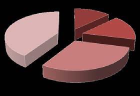 Esta situação é notória no Gráfico 4 onde se apresenta a composição do sector em 2009 por classes de maturidade, a qual se revela similar à registada em 2000 (ainda que as empresas com maturidade