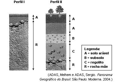 N o m e : T u r m a : P á g i n a 3 5. Analise os dois perfis de solo a seguir. Identifique qual dos dois perfis possui o solo mais desenvolvido. Justifique sua resposta. O perfil II.