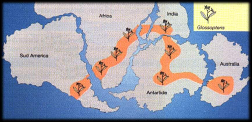 Origens dos Continentes Idéia: geografia