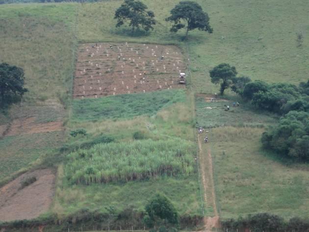 pontuais.