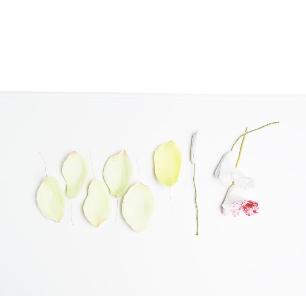 - 12 - Confecção da flor 250 g de massa de flor tingida Cortador para flor de orquídea cymbidium Arame Q.B.