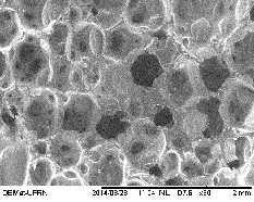 1 vê-se a morfologia do rejeito de telha e da espuma do poliuretano (PUR) obtida por microscopia eletrônica de varredura (MeV), com aumento de 100x para a análise do rejeito de telha e um amento de