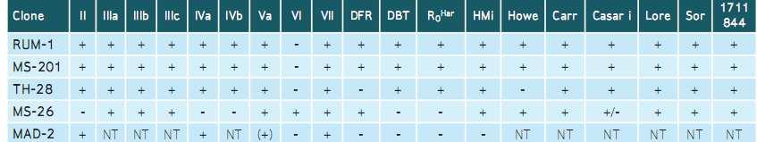 Tabela 1 Tipos de reagentes anti-d monoclonais disponíveis no mercado e sua reatividade com algumas categorias de D parcial.