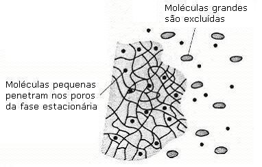 Cromatografia