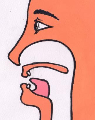 Tongue pulls back in the mouth without touching the top ridge. A língua é puxada na parte de trás da boca sem tocar a céu da boca. II.