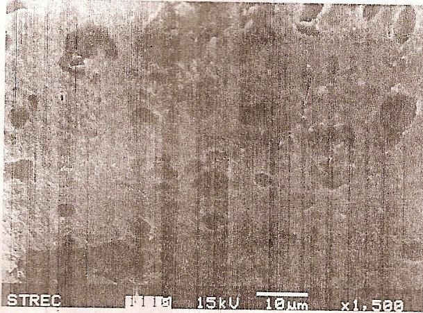 30 Figura 10: Micrografia da mistura NR/ACM (80% NR em peso, obtido pelo esquema 1) (WOOTTHINKANOKAHN & TONGRUBAI, 2001) Similarmente, as misturas obtidas pelo esquema 2 também são