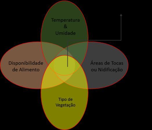 Fundamentos básicos da Ecologia ESPÉCIE - é o conjunto de indivíduos semelhantes (estruturalmente, funcionalmente e bioquimicamente) que se reproduzem naturalmente, originando descendentes férteis.