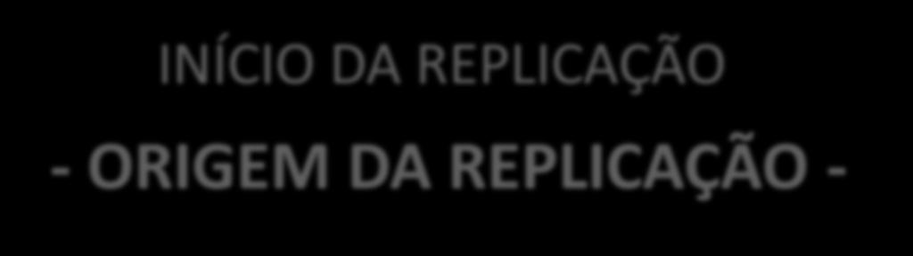 INÍCIO DA REPLICAÇÃO - ORIGEM DA REPLICAÇÃO - Região do DNA onde a replicação começa Origens de procariotos e eucariotos ricas