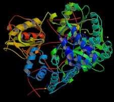 DNA-Ligases DNA ligase: fechar os buracos (nicks) oriundos de fragmentos de