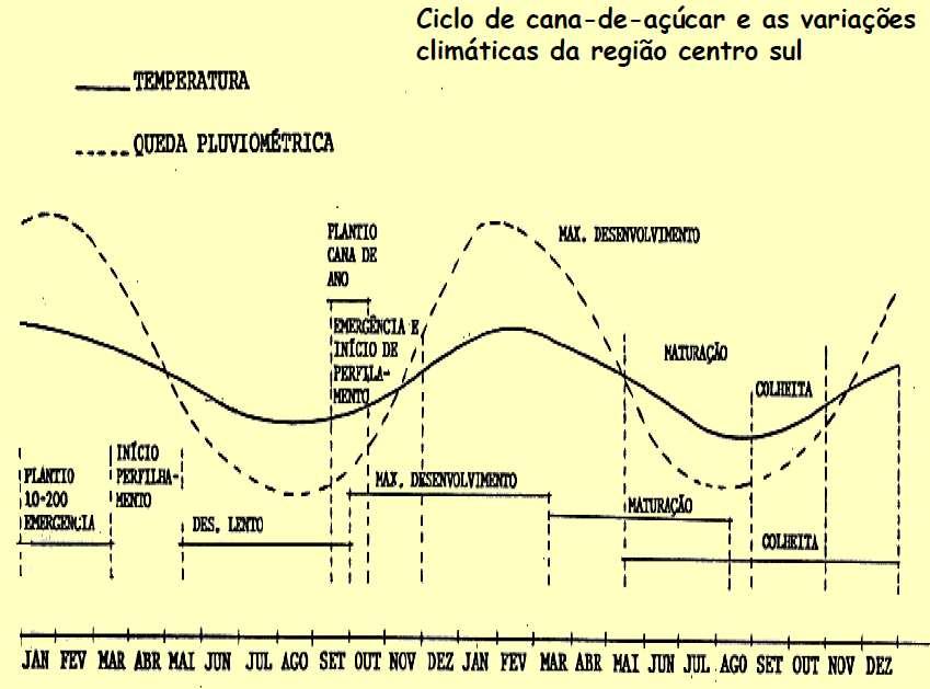 3.2. Época de plantio A época de plantio deve ser associada as