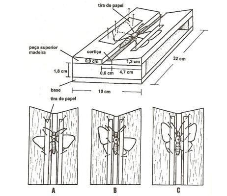 Para LEPIDÓPTEROS podem ser utilizados esticadores de madeira ou isopor.