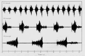 Comunicação Sonora Estímulos Térmicos Termorecepção Órgãos sensores situados nas pernas, antenas de muitos insetos.