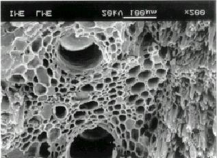 Microscopia de corpo de prova ensaiado à tração. Escala 10 µm.
