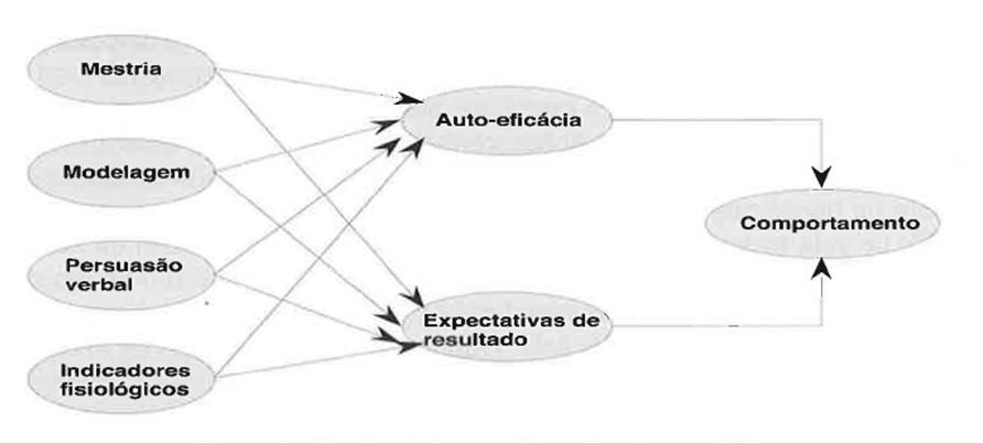 Experiência vicariante, ou modelagem:- utilização da experiência dos outros para aumentar as expectativas de eficácia; Persuasão verbal:- promove o encorajamento, incutindo no indivíduo a confiança