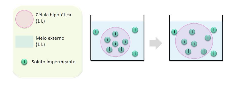 Solução hiposmótica Solução