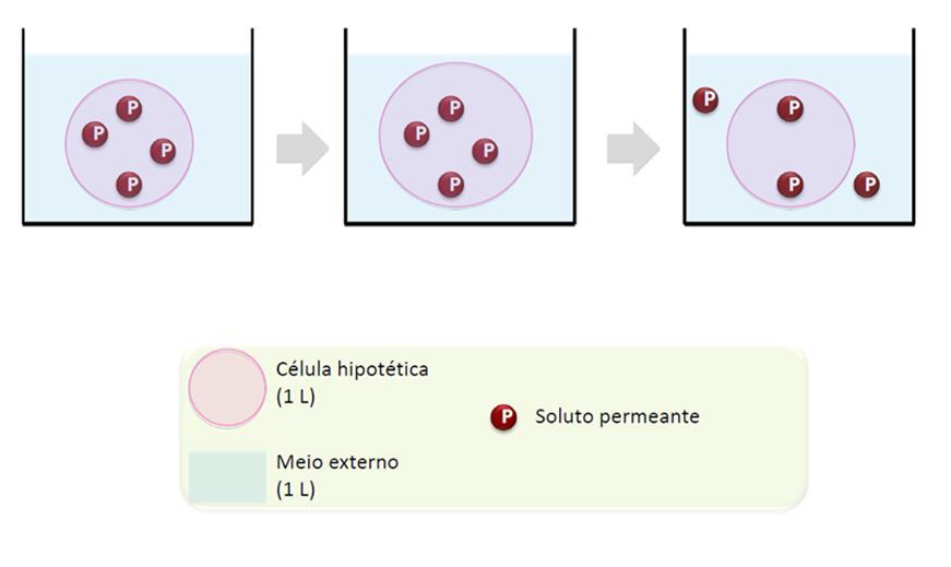 i i i i i i i i i i i i Solução hiposmótica Solução isotônica Aumento de