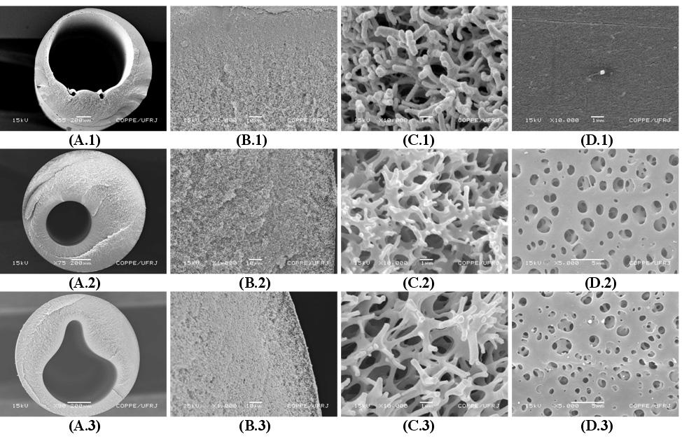 Figura 4: Fotomicrografias das fibras ocas de PEI/PVP (17/13 (%m/m)): letras: (A) seção transversal, (B) seção transversal próxima à superfície externa, (C) detalhe da região central e (D) superfície