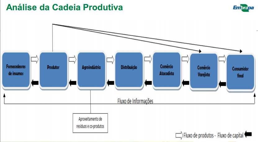 A relevância da Empresa Extrair, como adotante da tecnologia em questão, pode ser verificada na figura 1. Conforme se observa, a indústria que faz uso dos resíduos entra na etapa de processamento.