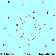 seja, os consumidores primários (Consumidores primários) e os consumidores secundários (Consumidores secundários) deverão ser dispostos em círculos concêntricos de forma que os consumidores