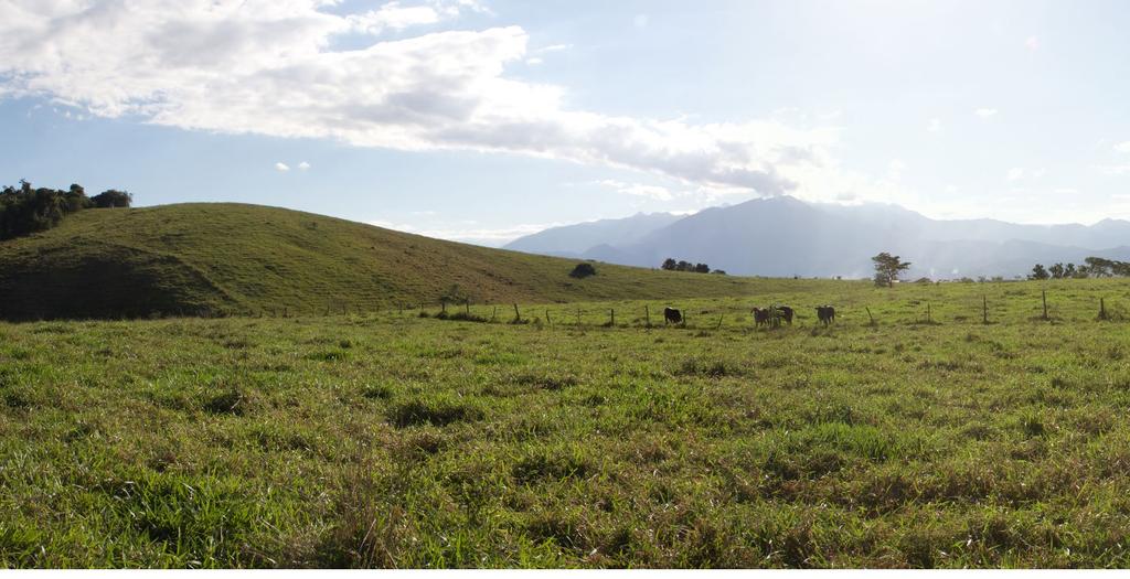 A Fazenda Limeira está localizada em uma das mais privilegiadas áreas de