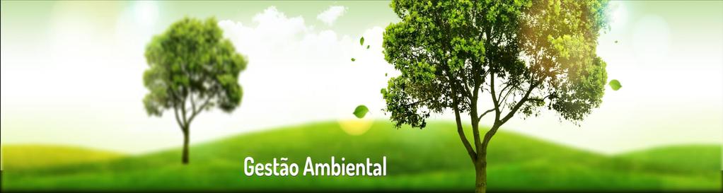 Conjunto de diretrizes e atividades administrativas e operacionais que têm por finalidade obter efeitos positivos sobre o meio ambiente.