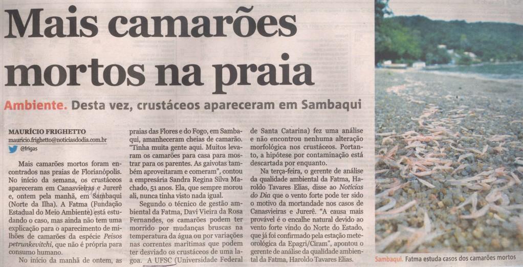 Dia Cidade Mais camarões mortos na praia Camarões mortos / Canasvieiras / Jurerê / Sambaqui / Mudanças bruscas na temperatura da água / Variações nas correntes