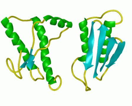 PRIONS É um agente infeccioso composto por proteínas com forma aberrante.