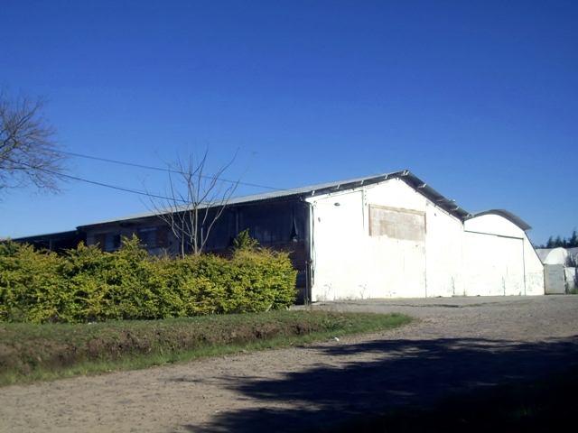 A presença da granja da família Hayashida, localizada no Bairro Parque Pinheiro Machado, em Santa Maria, é responsável por receptar flores e realizar o processo de organização das mesmas para a venda