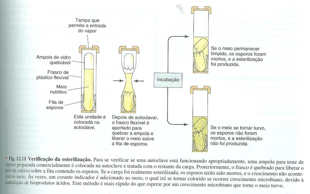 TESTE PARA VERIFICAR A