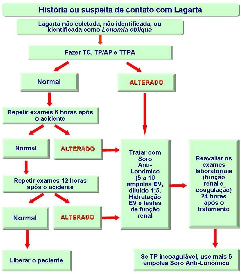 8 de alteração na coagulação e buscando evitar as complicações temidas de insuficiência renal aguda e hemorragia intracraniana.