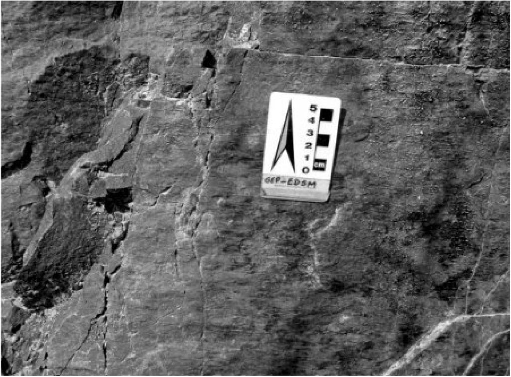 Figura 3: Plano de falha transcorrente destral com estrias e degraus em dique de diabásio na Pedreira Brasitalia Ltda., próximo da cidade de Vitória ES. Visada para norte.